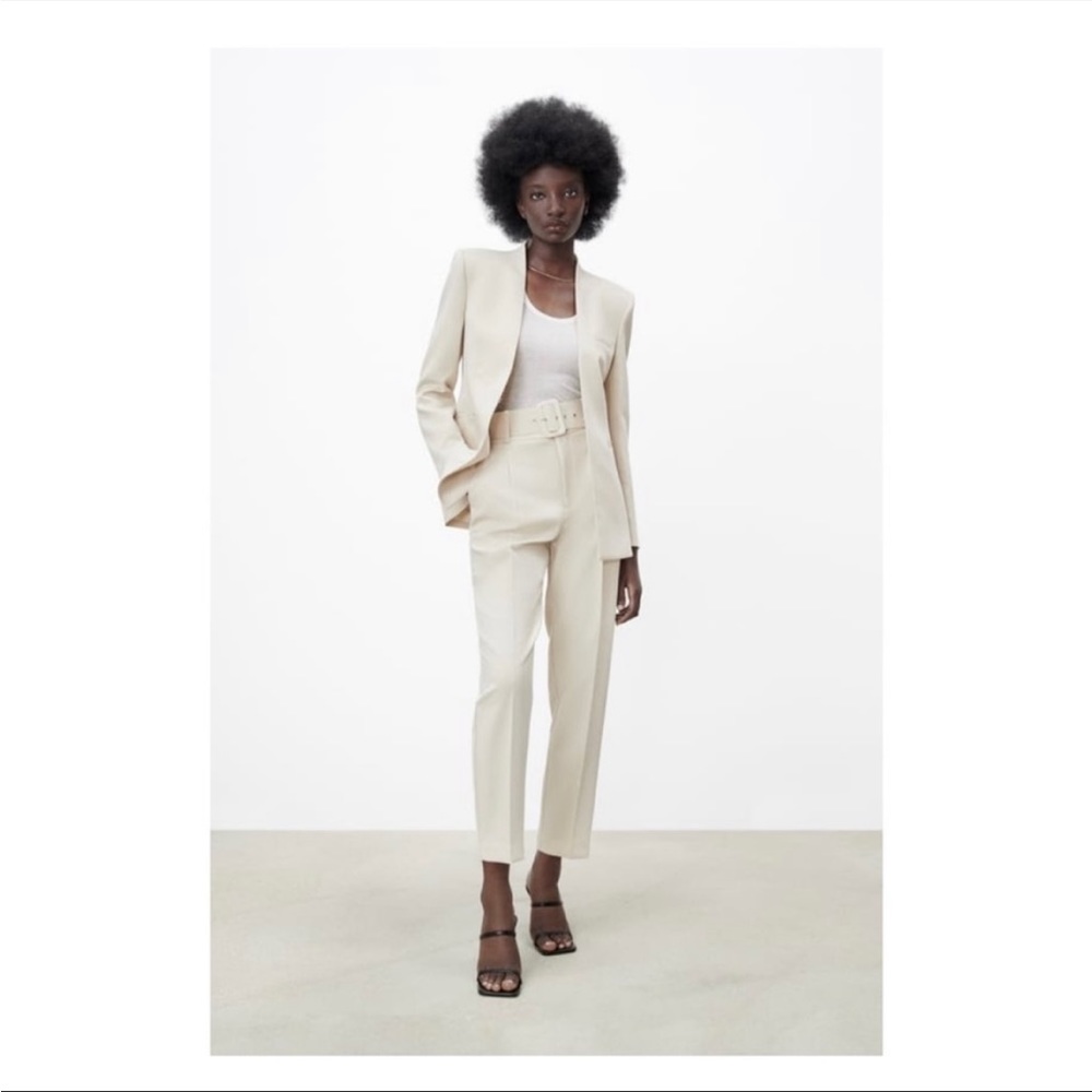NWT Zara Dress Pants